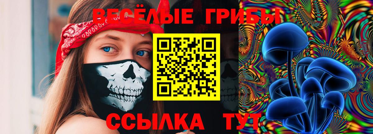 Галлюциногенные грибы Psilocybe  Галлюциногенные грибы Psilocybine cubensis  Вход с VPN  Артём 